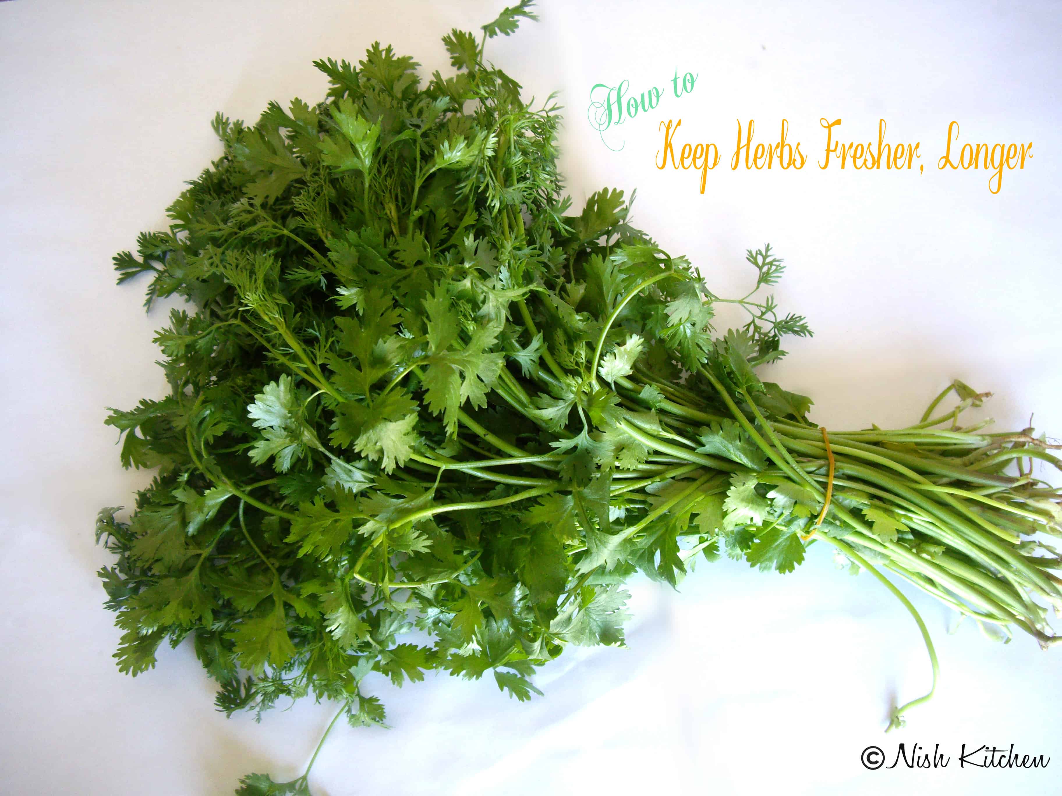How to keep herbs fresher for longer