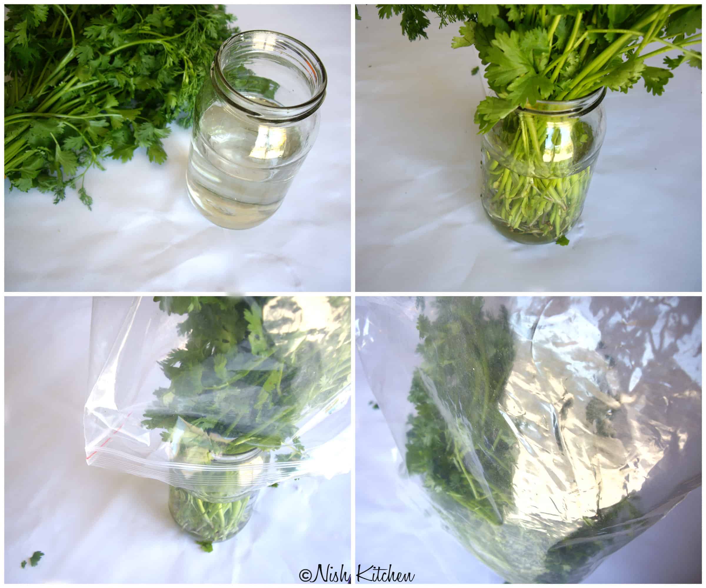 How to keep herbs fresher longer 1